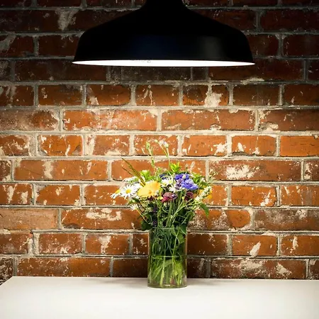 Tatil Evi 4 Person In Give